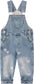 Girls Heart Embroidered Floral Overalls Big2816