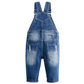 Blue denim overall shorts with distressed details, shown from the back on a white background.